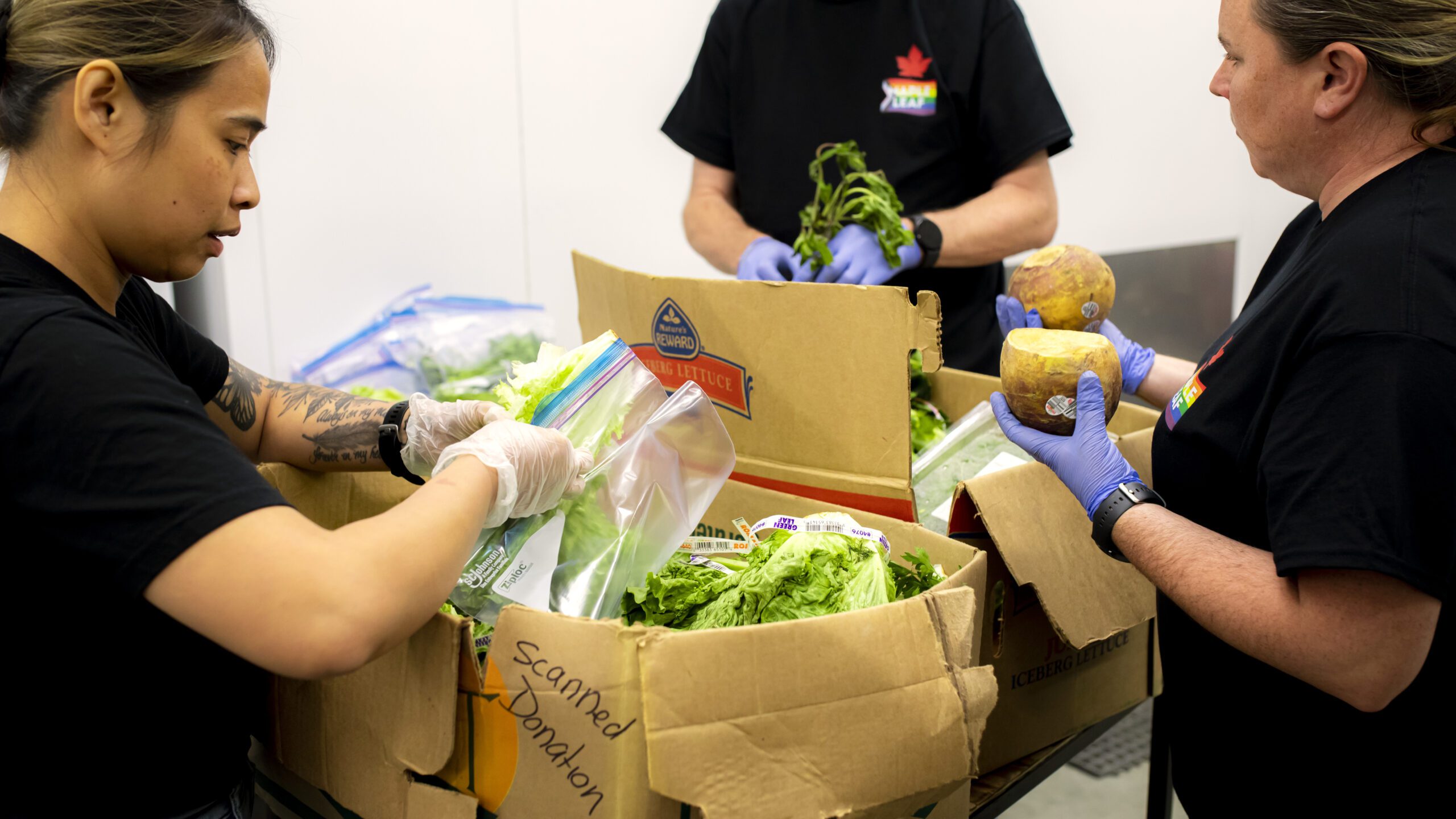 June7,20238610 Volunteers at South East Helping Hands